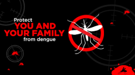 Dengue Prevention Virtual Tour